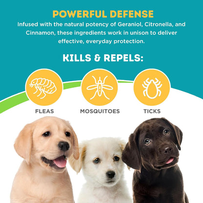 ONLY NATURAL PET 3-in-1 Wellness Kit for Small Dogs