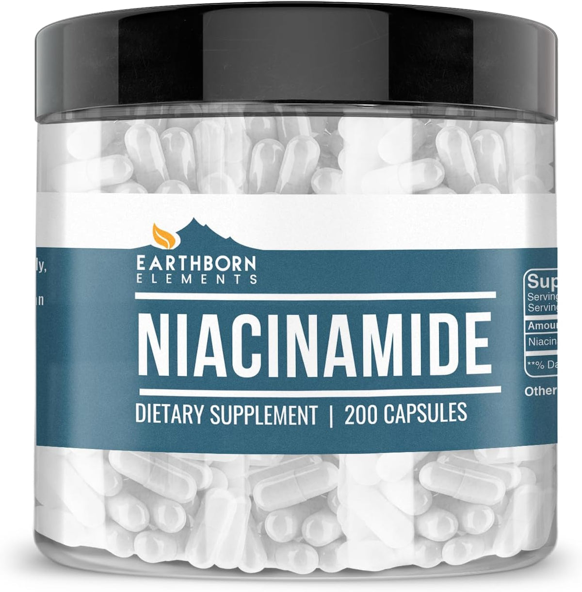 Earthborn Elements Niacinamide (Vitamin B3), Capsules, No Magnesium Fillers, No Flush - görsel 1