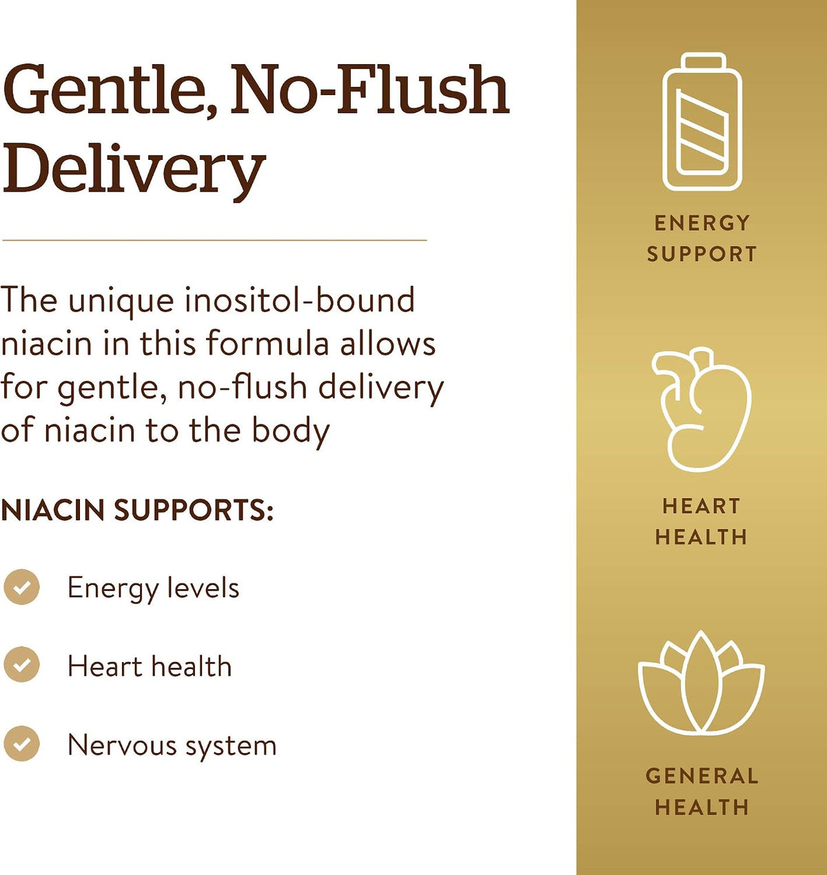 Solgar No-Flush Niacin 500 mg, 250 Vegetable Capsules - görsel 4