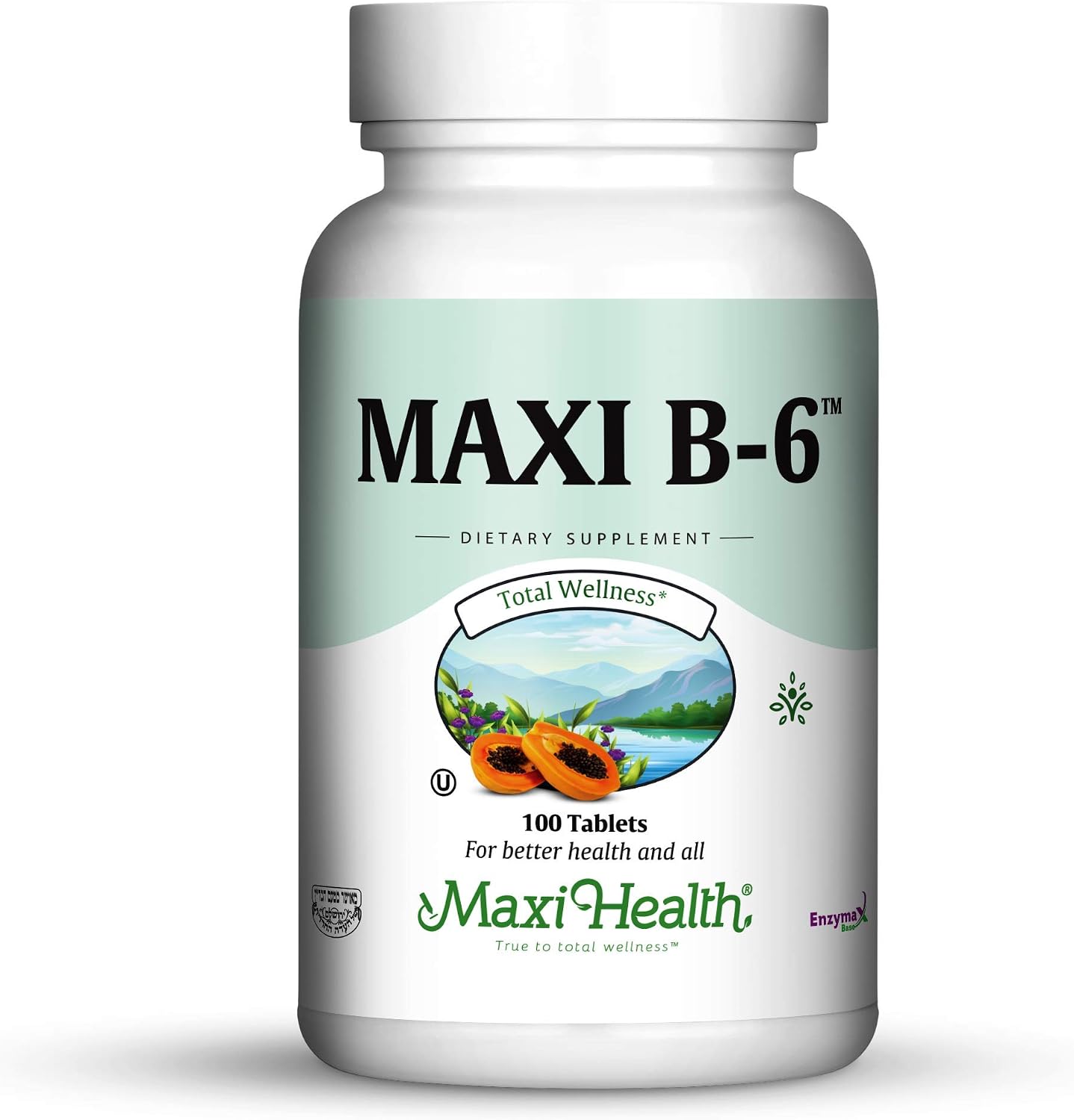 Maxi Health Vitamin B6 100 mg Tablets – Pyridoxine Hydrochloride for Nervous System and Energy Support – 200 Tablets (Pack of 2) - görsel 1