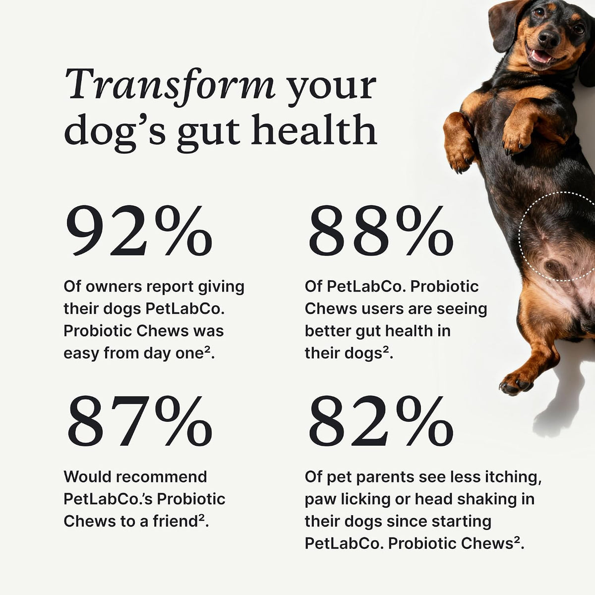 PetLab Co. Probiotics for Dogs - Pork Flavour - 30 Soft Chews - görsel 1