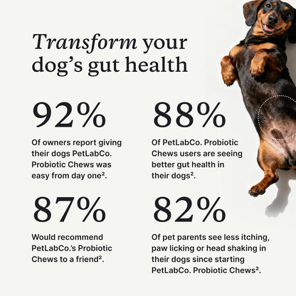 PetLab Co. Probiotics for Dogs – Pork Flavour – 30 Soft Chews (Value 2-Pack)