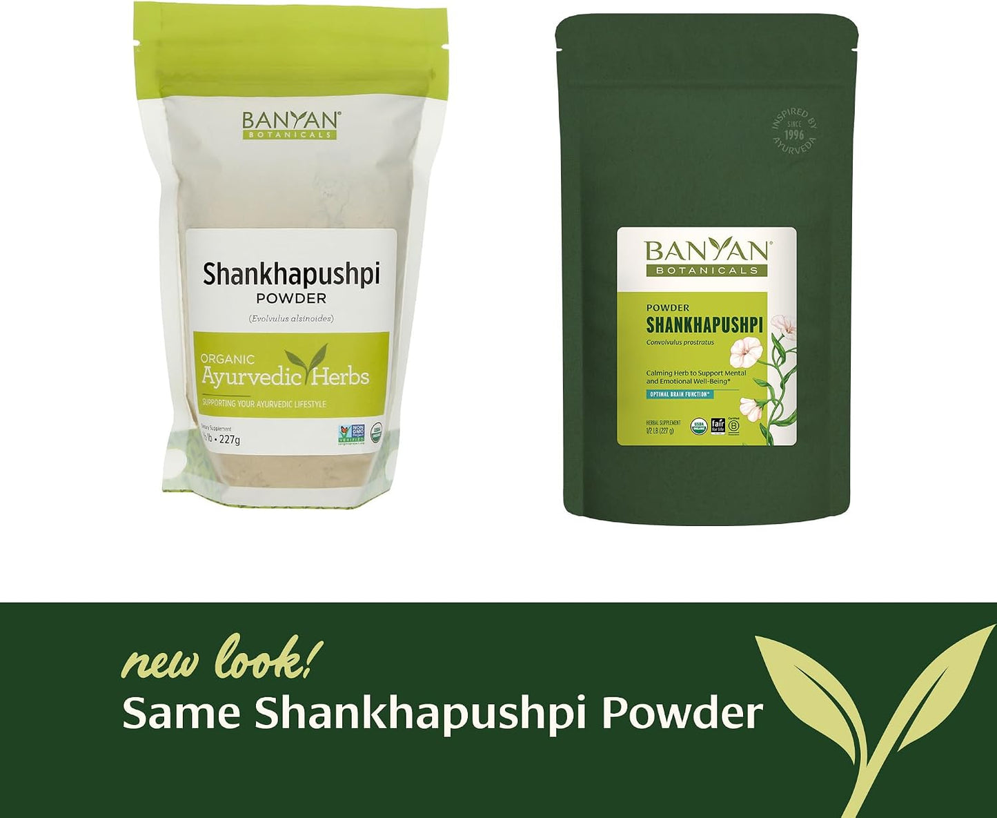 Banyan Botanicals Shankhapushpi Powder – Organic Shankhapushpi (Convolvulus Prostratus) – 227 g - görsel 4