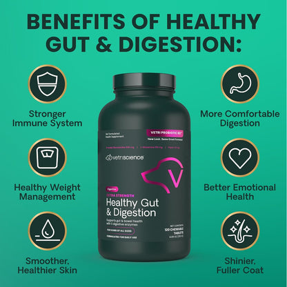 VetriScience Extra Strength Healthy Gut & Digestion Chewable Tablets – Probiotic & Enzyme Supplement for Dogs, 120 Tablets