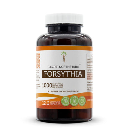 Secrets of the Tribe Forsythia 120 Capsules – Dried Fruit (Lian Qiao) in Vegetable Capsules
