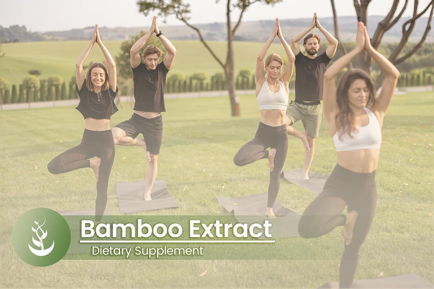 Pure Original Ingredients Bamboo Extract, (100 Capsules) - görsel 5