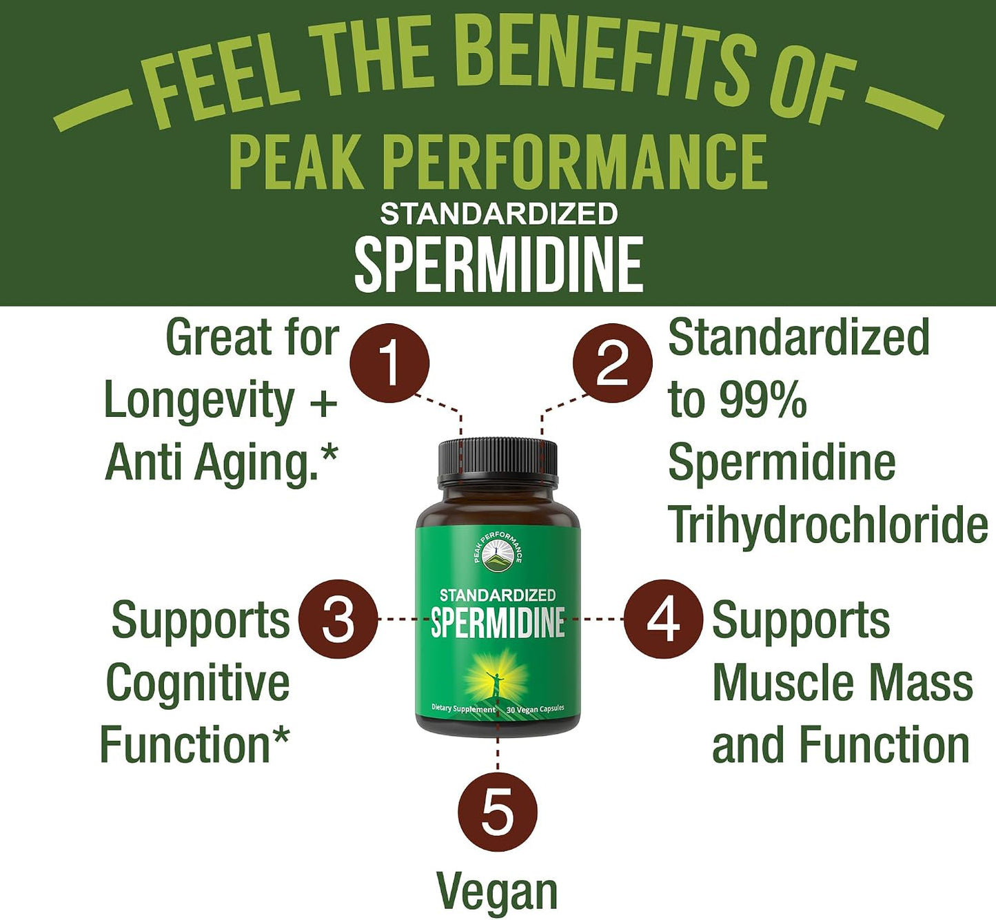 Spermidine Supplement – 99% Spermidine Trihydrochloride, Ultra High Strength, Vegan Capsules for Healthy Ageing - görsel 2