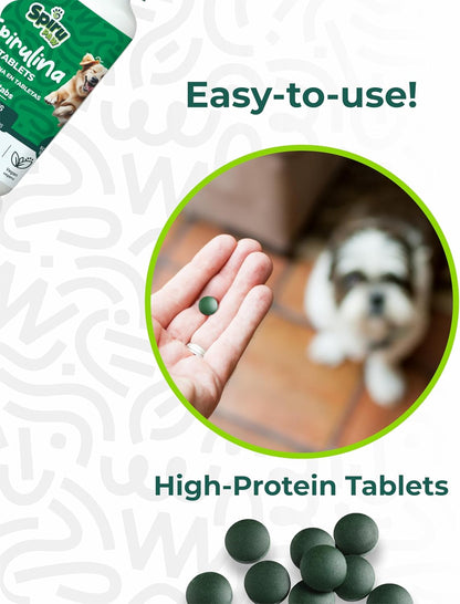 SPIRU PAW Spirulina Tablets for Dogs & Cats, Plant-based Microalgae Pet Supplement, Easy Daily Tablet, Supports Daily Wellness & Skin & Coat, 60 Count