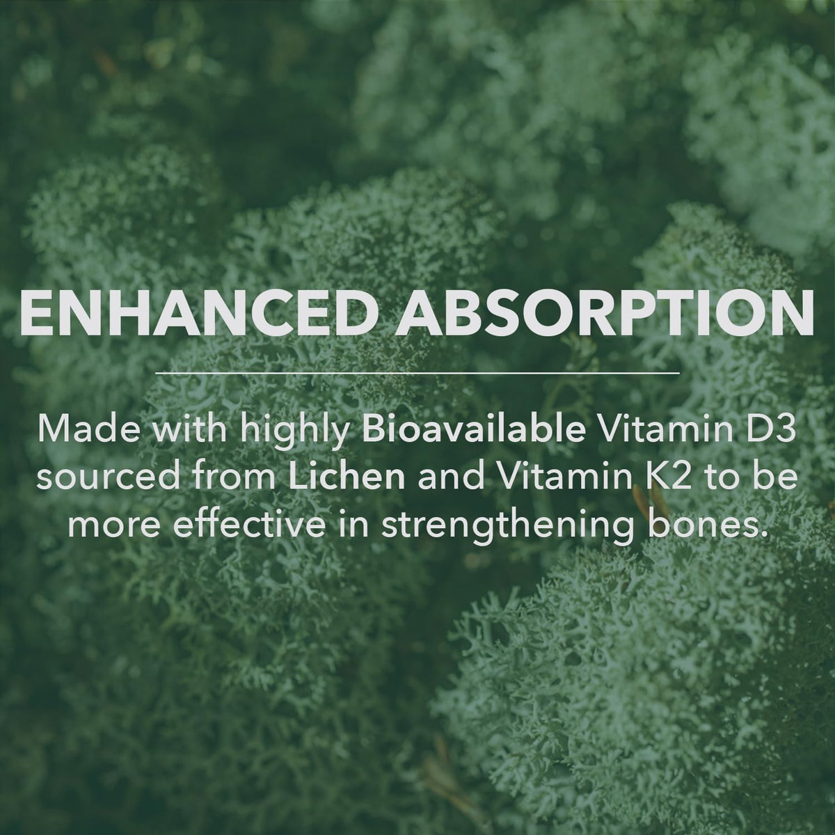 PlantFusion Organic Vegan Vitamin D3 + K2 5,000 IU, 50MCG - 60 Capsules - görsel 5