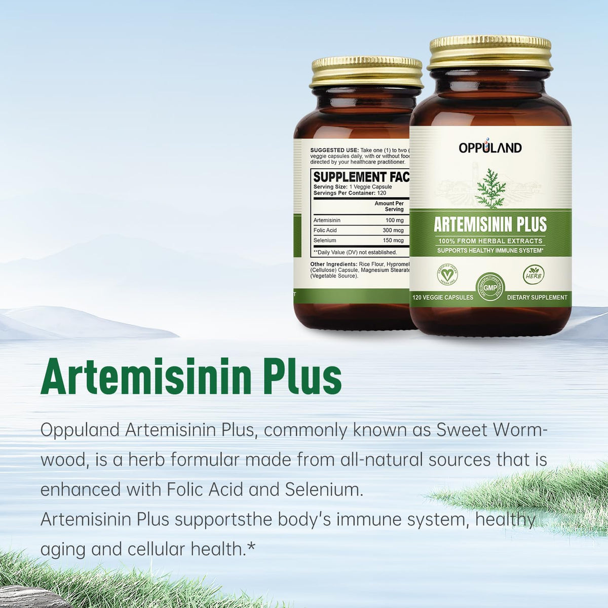 Artemisinin Plus – Sweet Wormwood Extract 100mg – Artemisia Annua Complex with Folic Acid & Selenium – Herbal Supplement for Immune System & Wellness – Vegan Capsules – 120 Capsules - görsel 2