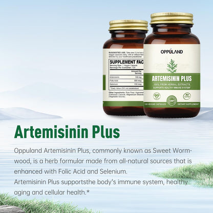 Artemisinin Plus – Sweet Wormwood Extract 100mg – Artemisia Annua Complex with Folic Acid & Selenium – Herbal Supplement for Immune System & Wellness – Vegan Capsules – 120 Capsules