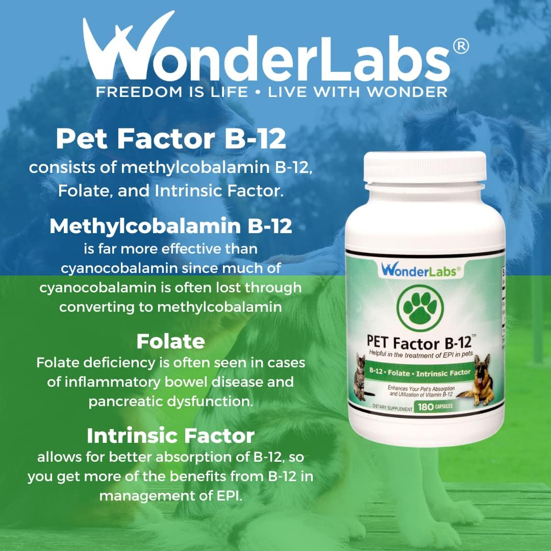 Pet Factor B-12 | Methylcobalamin Vitamin B12 for Dogs - 180 Capsules - görsel 7