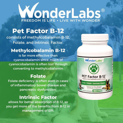 Pet Factor B-12 | Methylcobalamin Vitamin B12 for Dogs - 180 Capsules