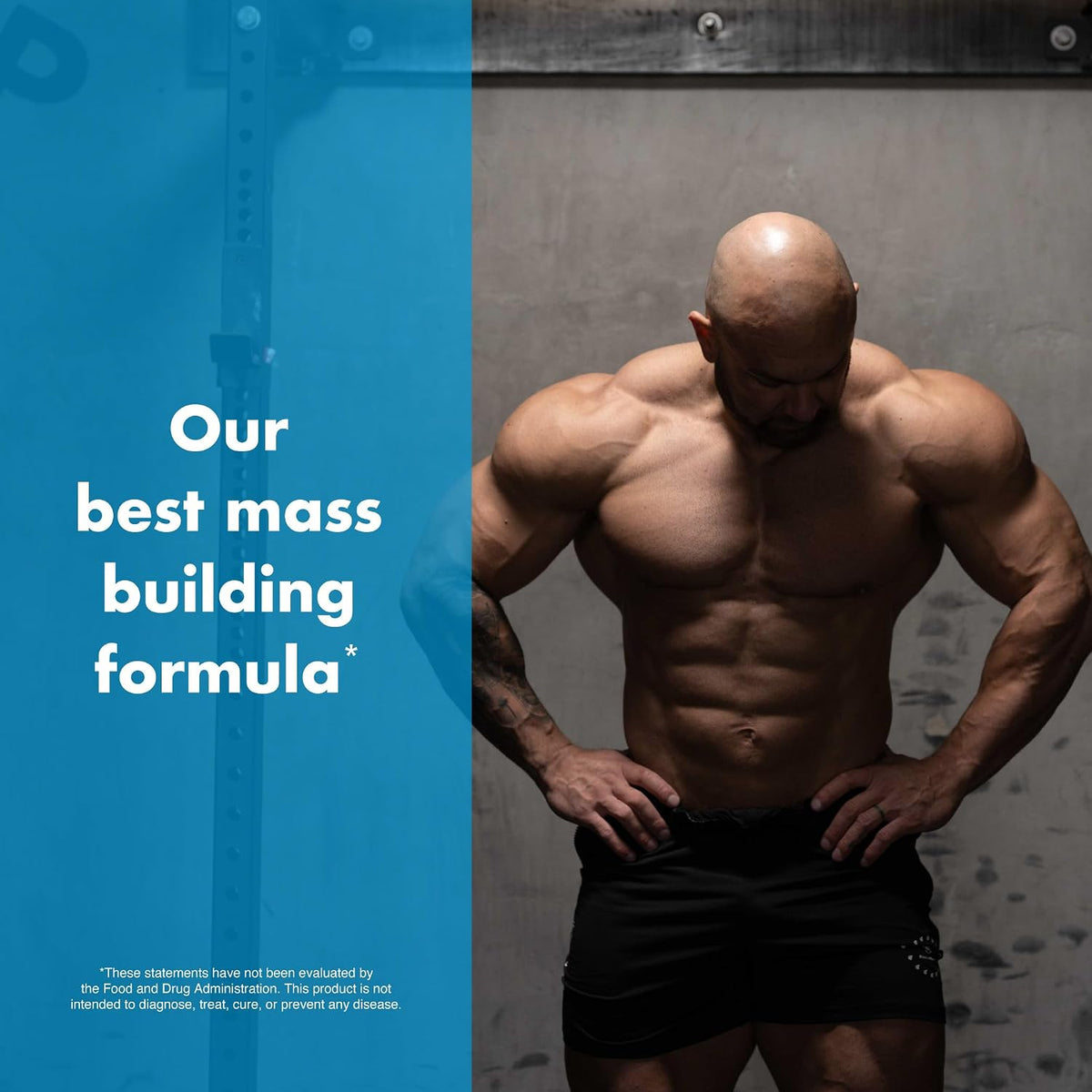 Anabolic Warfare Project Bulk - Mass-Building Formula for Strength and Muscle Definition - görsel 7