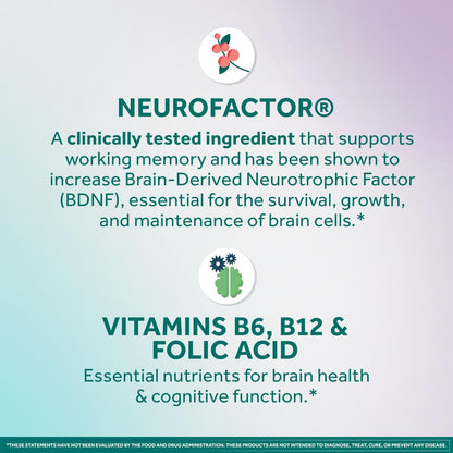 NEURIVA Memory 3D Brain Food Supplement - Nootropic Capsules for Memory, Focus & Cognitive Function - 50 Capsules (Pack of 2)