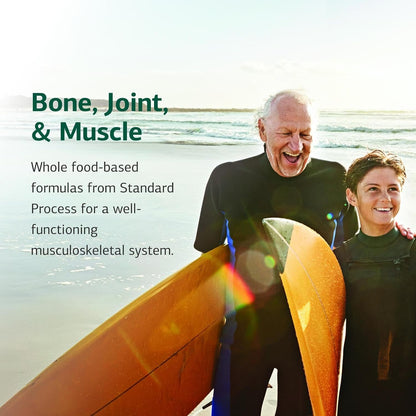 Standard Process Bio-Dent – Skeletal Health Food Supplement, 800 Tablets