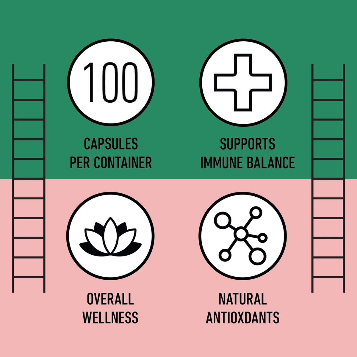 Organic Hibiscus Capsules, 550 mg, 100 Count – Plant-Based Supplement - görsel 8