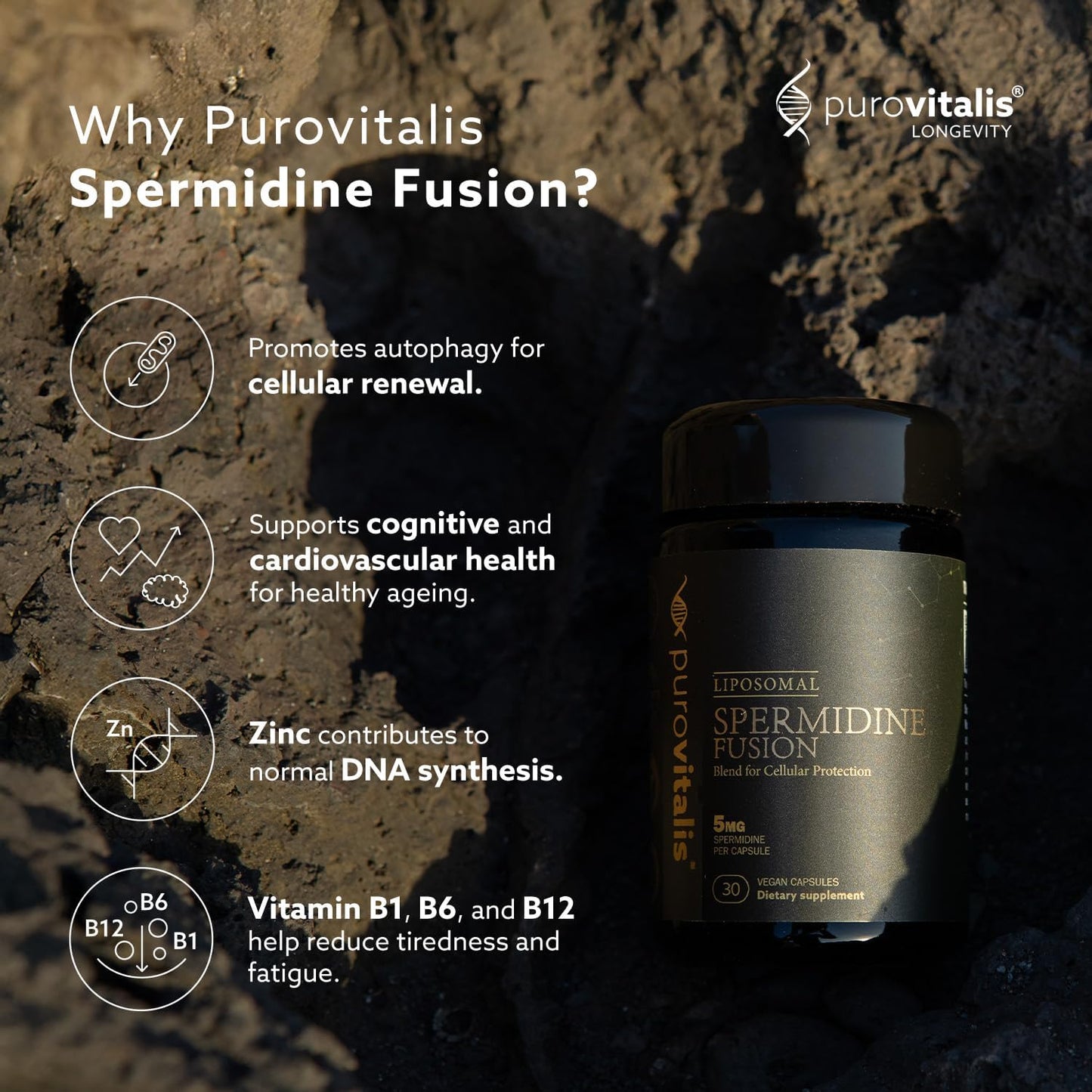 PUROVITALIS Liposomal Spermidine 5mg with Zinc, Vitamin D3 & B12 – Cell Renewal & Anti-ageing Supplement, 30 Vegan Capsules - görsel 2