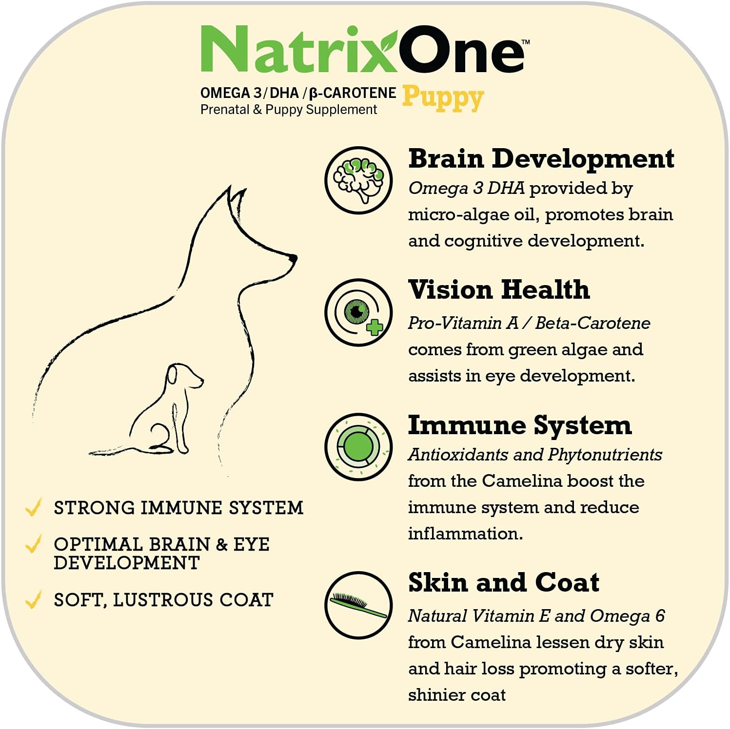 NatrixOne 100% Pure Camelina Oil for Puppies, 236 ml - görsel 2