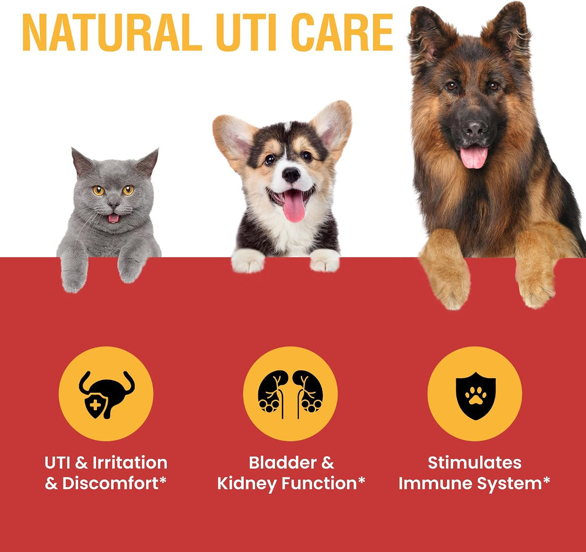 Cat & Dog Urinary Tract Support – Natural Cranberry Drops for Bladder and Kidney Health – Supports Incontinence and Frequent Urination – Pet Renal Care Drops - görsel 3
