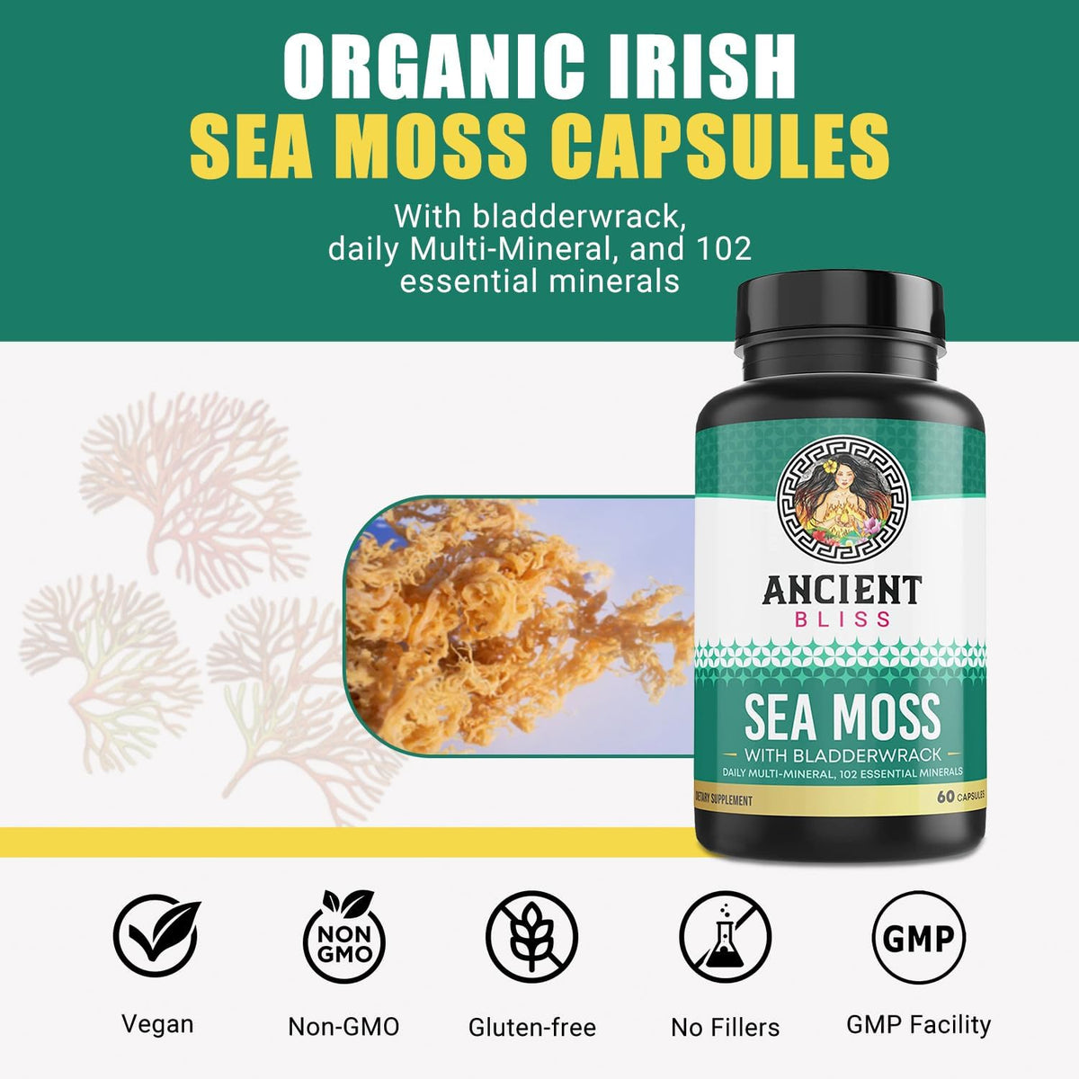 Ancient Bliss Organic Irish Sea Moss Capsules – Wildcrafted Sea Moss with Bladderwrack, 120 Capsules - görsel 2