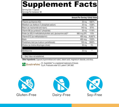 XYMOGEN B Activ - B Vitamins Food Supplement for Carbohydrate Metabolism Support - Supports Nervous System & Immune Function - Gluten-Free & Vegetarian - 90 Capsules
