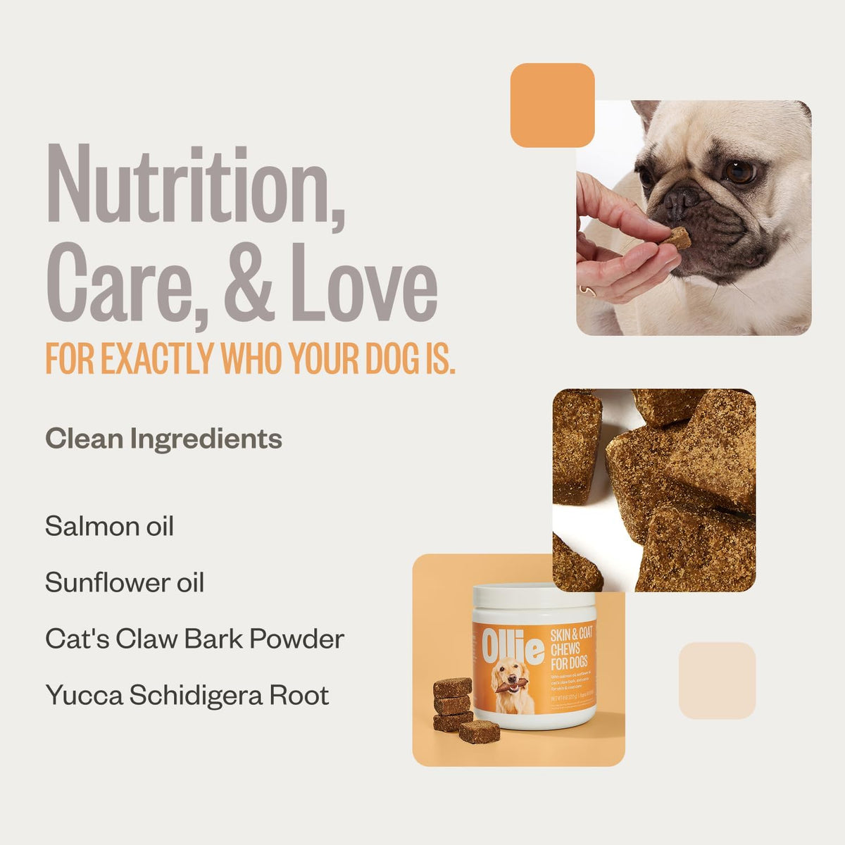 Ollie Dog Skin & Coat Supplement, Supports Healthy Skin & Coat, 60 Chews - görsel 4