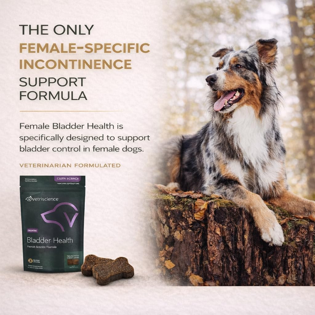 VetriScience Bladder Health Soft Chews for Dogs - Bladder Control & Urinary Support, Chicken Flavour, 60 Count - görsel 3