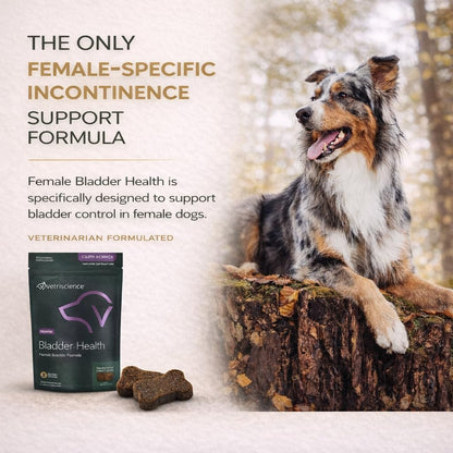 VetriScience Bladder Health Soft Chews for Dogs - Bladder Control & Urinary Support, Chicken Flavour, 60 Count