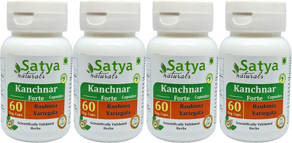 Kanchnar Forte Capsules 500 mg (4 Bottles of 60 Capsules) - Bauhinia Variegata Extract - Ayurvedic Herbal Supplement