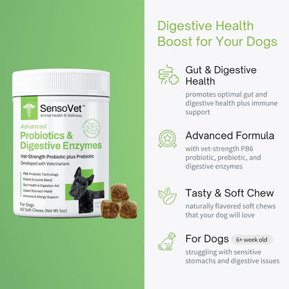 SensoVet Probiotics for Dogs with Prebiotics and Digestive Enzymes