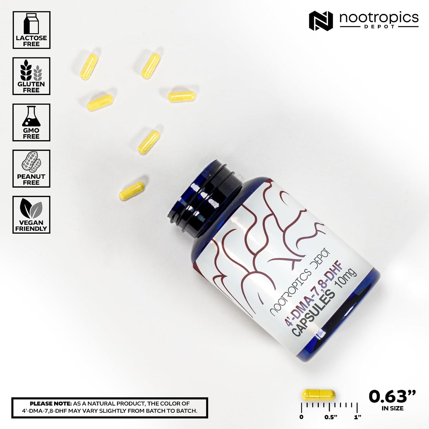 Nootropics Depot 4'-DMA-7,8-DHF 10mg Capsules (30 Count) - görsel 3