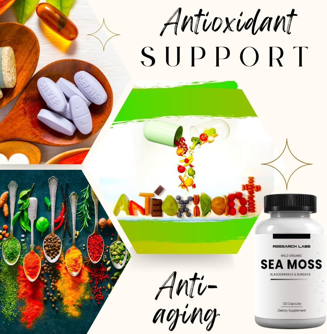 Research Labs Organic Irish Sea Moss Capsules — Raw Wildcrafted Sea Moss with Bladderwrack & Burdock Root, 120 Capsules - görsel 4