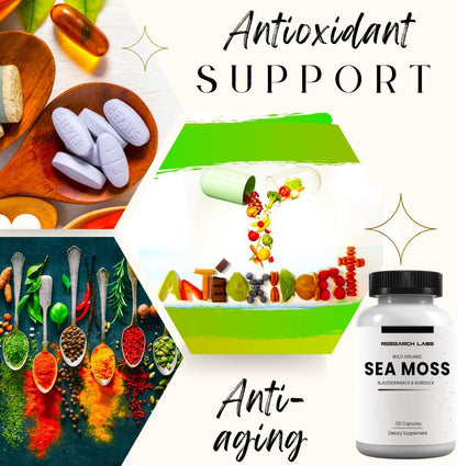 Research Labs Organic Irish Sea Moss Capsules — Raw Wildcrafted Sea Moss with Bladderwrack & Burdock Root, 120 Capsules