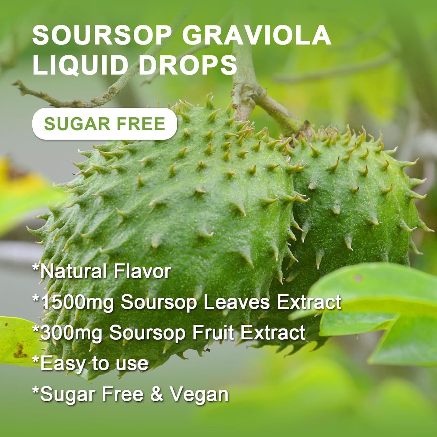(2 Pack) Soursop Graviola Liquid Drops - 1800mg Soursop Extract - High Absorption Liquid for Immune Support, Antioxidant, Relaxation - Sugar Free - 30 ml - görsel 6