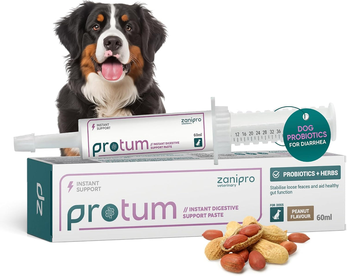 Veterinary Probiotics Paste for Dogs, Tasty Peanut Flavour for Fussy Eaters, Advanced Prebiotic Formula for Digestive Support - Aids Digestion, Diarrhoea Relief, Anti Sickness (60ml) - görsel 1