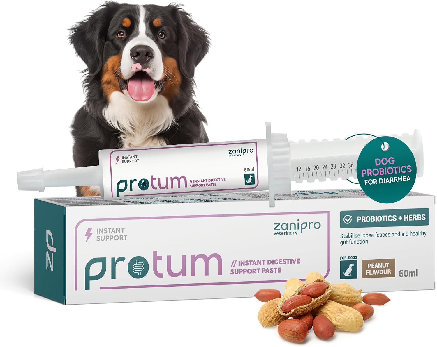 Veterinary Probiotics Paste for Dogs, Tasty Peanut Flavour for Fussy Eaters, Advanced Prebiotic Formula for Digestive Support - Aids Digestion, Diarrhoea Relief, Anti Sickness (60ml) - görsel 1