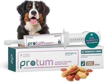 Veterinary Probiotics Paste for Dogs, Tasty Peanut Flavour for Fussy Eaters, Advanced Prebiotic Formula for Digestive Support - Aids Digestion, Diarrhoea Relief, Anti Sickness (60ml)