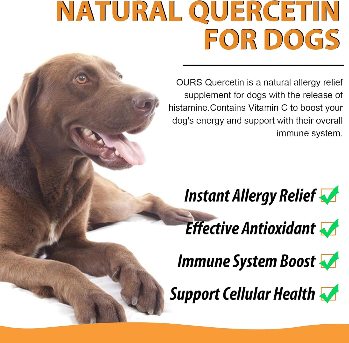 Quercetin for Dogs, Dog Quercetin Liquid Drops, Herbal Supplement for Allergy Relief, Cellular Health, Immune Support, Antioxidant 60 ml-2pcs - görsel 4