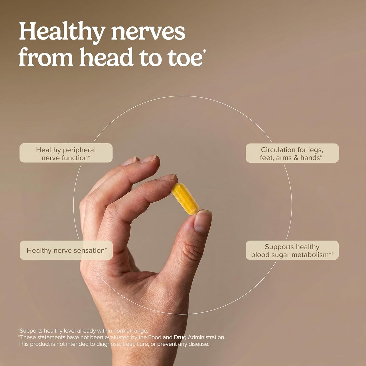 Terry Naturally Healthy Feet & Nerves – Nerve & Circulation Support, 60 Vegan-Friendly Capsules - görsel 4