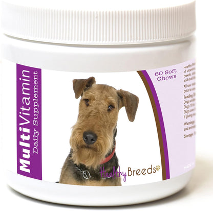 Healthy Breeds Airedale Terrier Multivitamin Soft Chews 60 Count