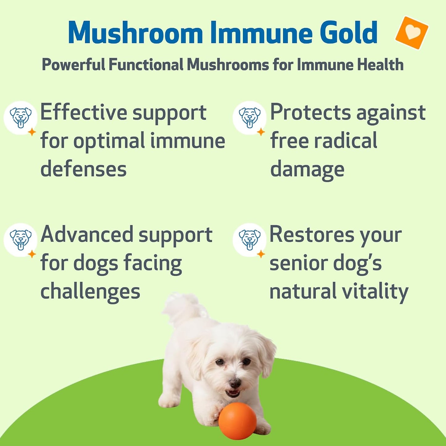 Pet Wellbeing Mushroom Immune Gold for Dogs – Complementary Immune Support with Reishi, Maitake & Turkey Tail – 8 oz Liquid Formulation - görsel 2