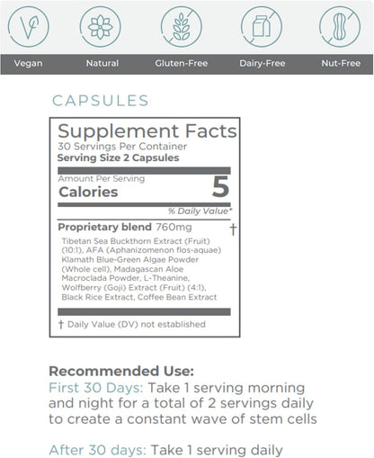 HEALTHY home StemActive Stem Cell Support Supplement – 60 Capsules