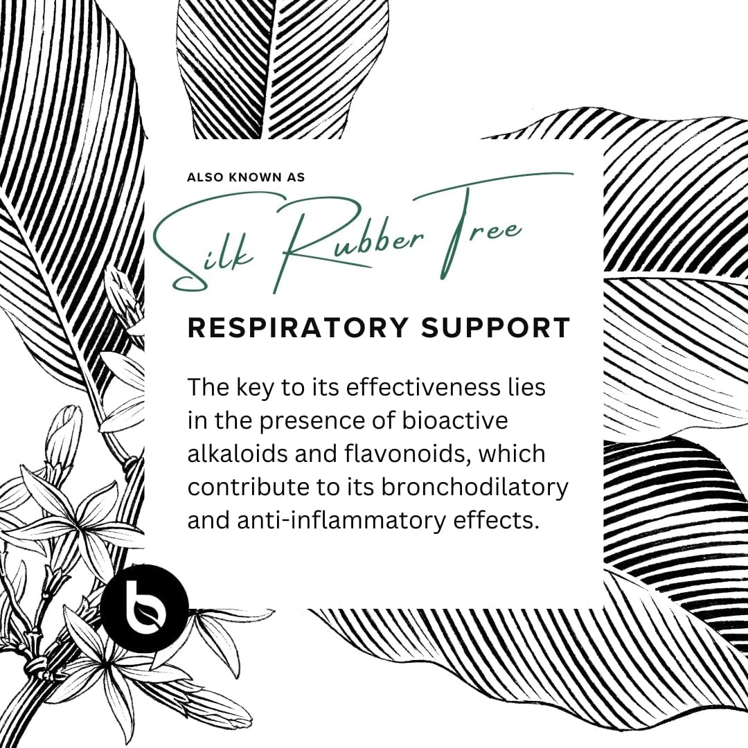 BTNX Funtumia Elastica Powder – Respiratory Support Supplement – Supports Healthy Breathing, Clear Airways & Lung Wellness – Traditional African Botanical – 100% Herbal Formula - görsel 4