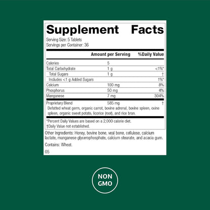 Standard Process Bio-Dent – Supports Bone and Muscle Health – Whole Food Supplement – 180 Tablets