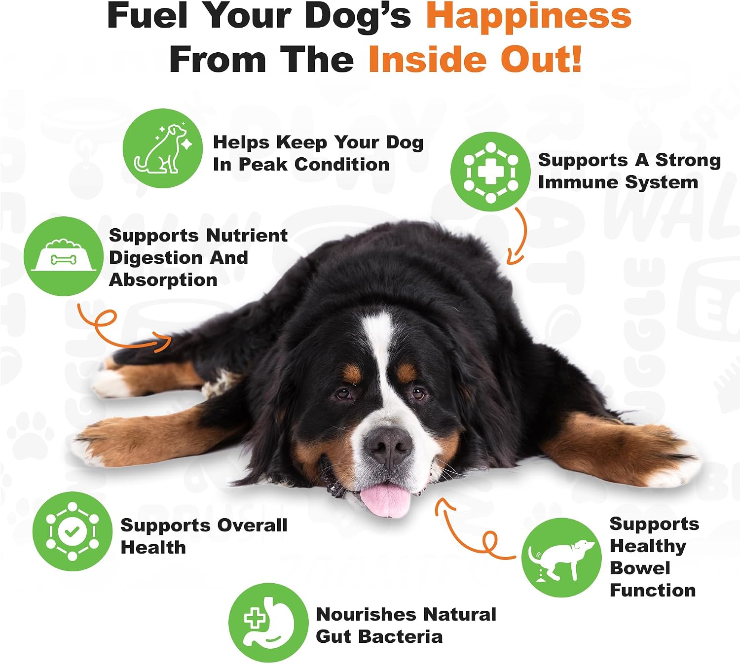 Doggie Dailies Probiotics for Dogs – Advanced Dog Probiotics with Prebiotics – Promotes Digestive Health – Supports Immune System (Pumpkin) 225 Soft Chews - görsel 3