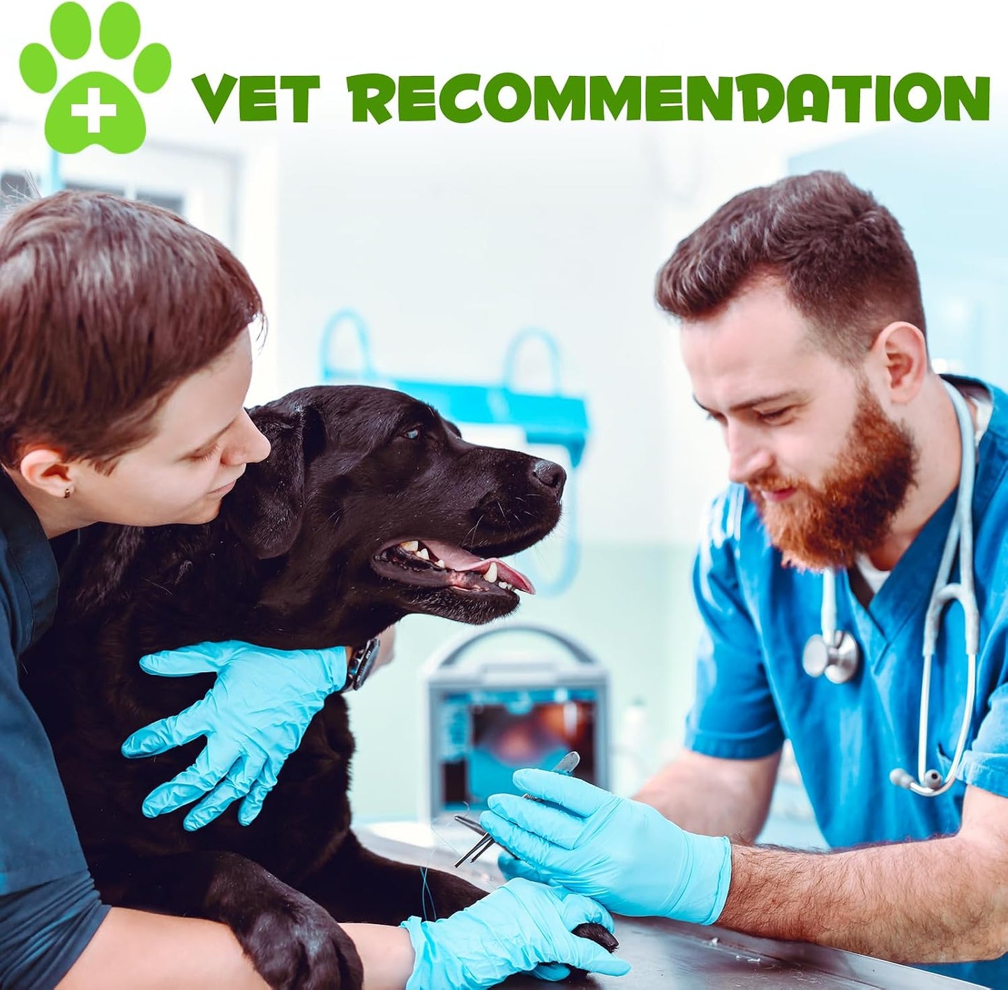 Probiotics for Dogs, 3-in-1 Dog Probiotics, Dog Probiotics for Digestive Support, Dog Probiotic Supplements, Pet Probiotics for Dogs, Liquid Probiotics for Dogs | 60 ml - görsel 9
