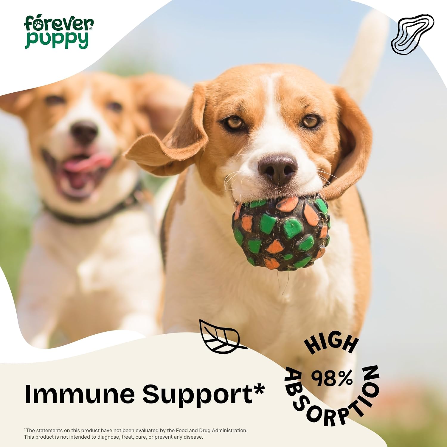 Forever Puppy Echinacea Drops for Dogs, 60 ml – Natural Immune Support Tincture - görsel 2