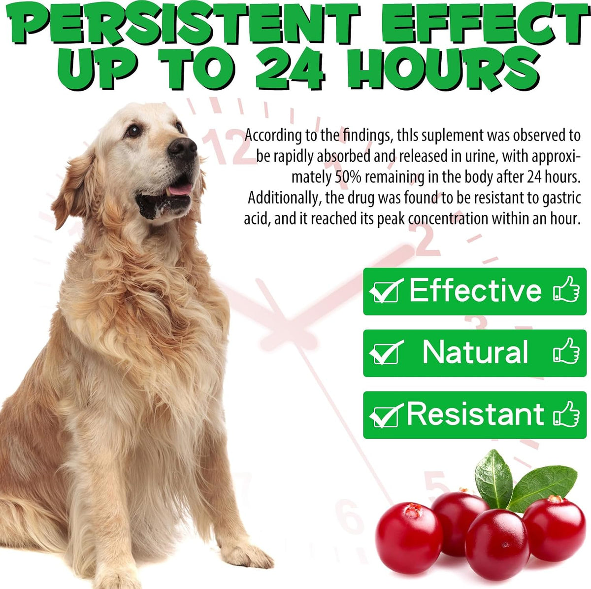 Urinary Tract Support Drops for Dogs – Herbal Formula with Cranberry and Pumpkin Seed, Bacon Flavour (60 ml) - görsel 9