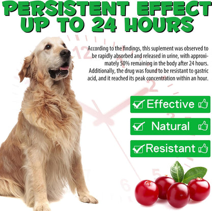 Urinary Tract Support Drops for Dogs – Herbal Formula with Cranberry and Pumpkin Seed, Bacon Flavour (60 ml)